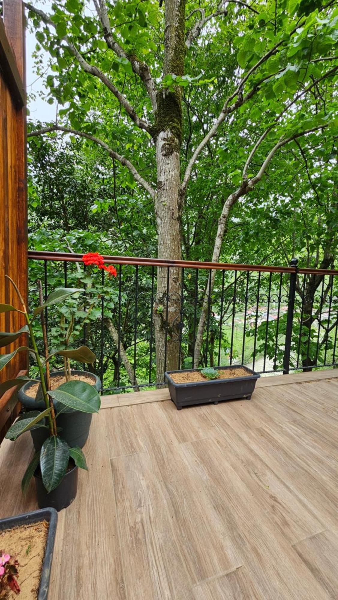 Chalet Sakli Vadi Ardesen